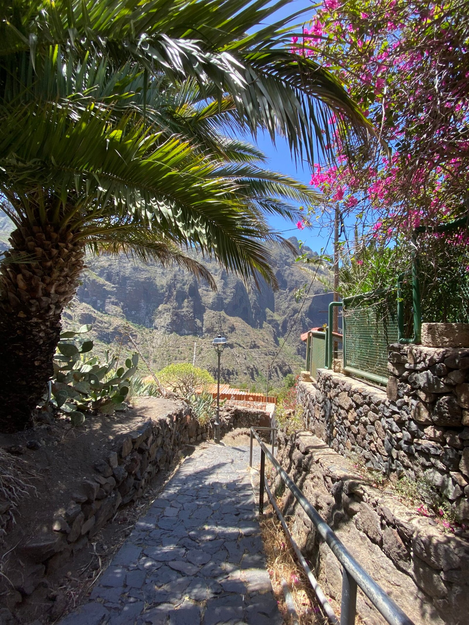 Tenerife en road trip : que voir, où aller et comment organiser son voyage ? Tenerife en road trip : que voir, où aller et comment organiser son voyage ?