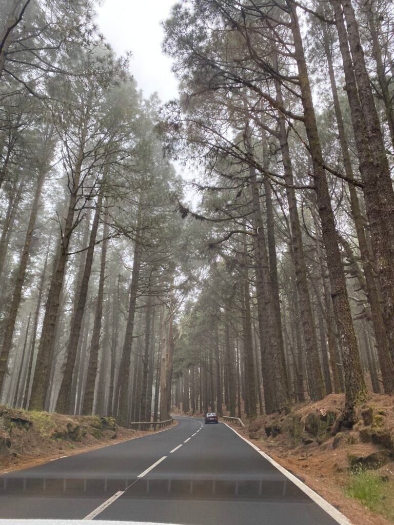 Sur la route