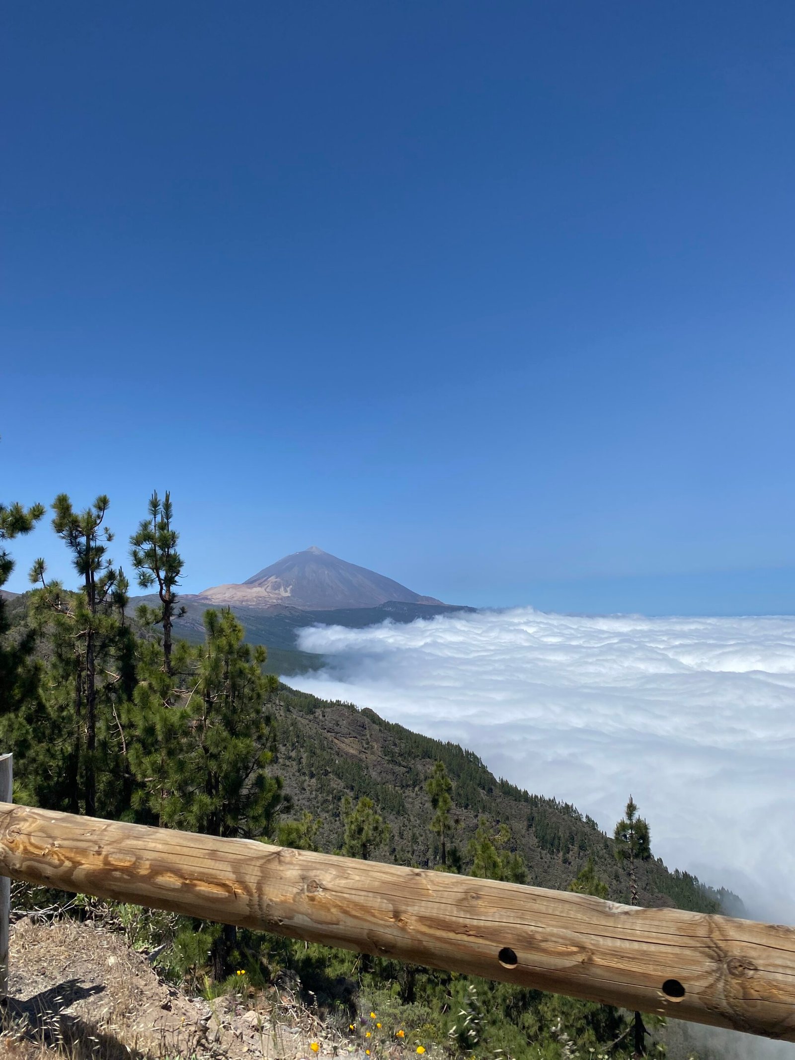 Vue sur le volcan